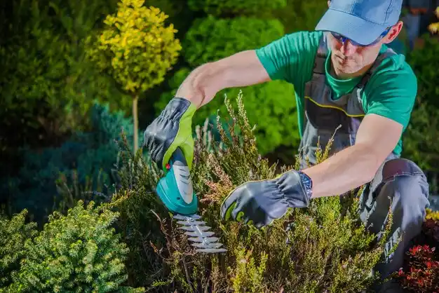 landscaping services Glenwillow